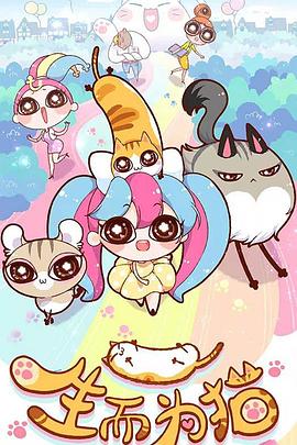 江苏网络推广seo优化